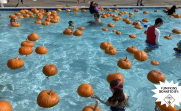 Pumpkins floating in a pool